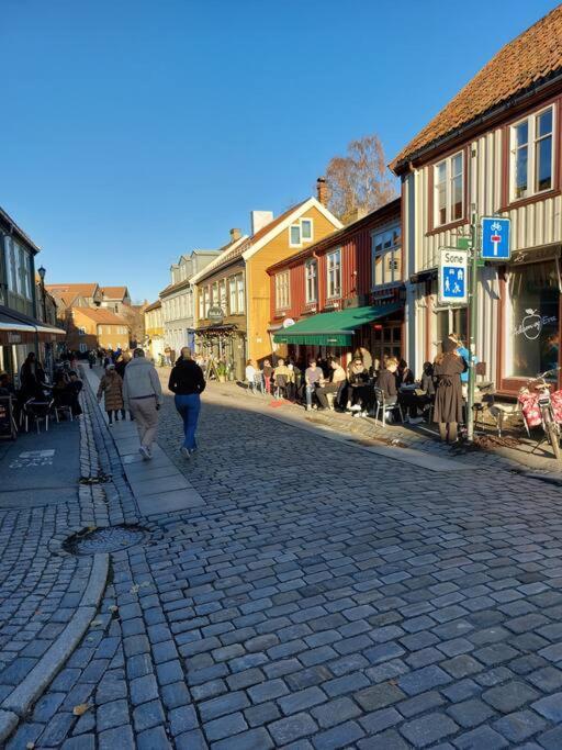 Hidden Gem Near The Old Town Bridge, 40M² Apt. Trondheim Dış mekan fotoğraf